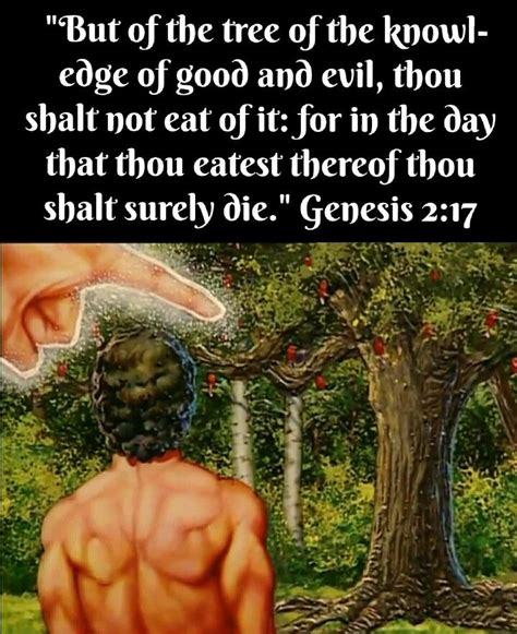 Genesis 2 17 KJV But Of The Tree Of The Knowledge Of Good And Evil