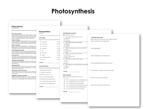 Photosynthesis Teaching Resources