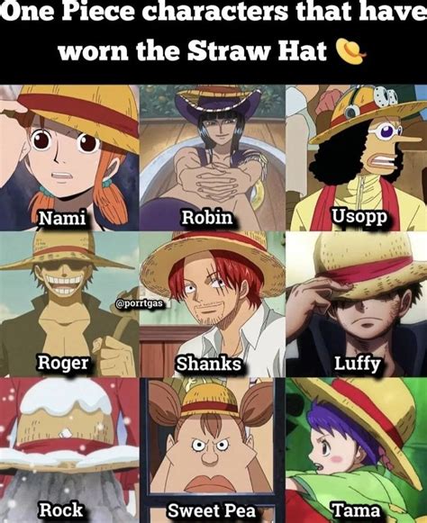 One piece characters that have worn the straw hat | One piece cartoon ...