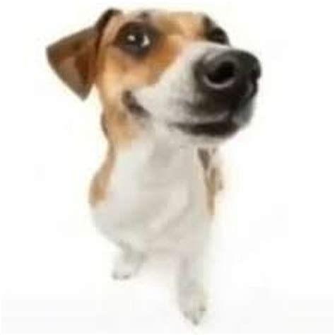 Stream Fifty Fifty Cupid Gay Parody By Joonbae Listen Online For Free On SoundCloud