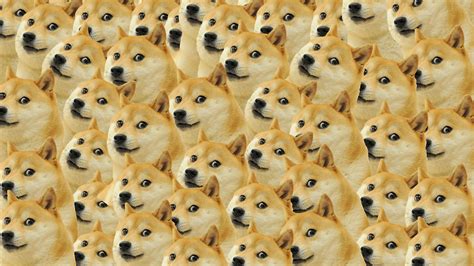 2048x1152 Doge Meme Wallpaper2048x1152 Resolution Hd 4k Wallpapers