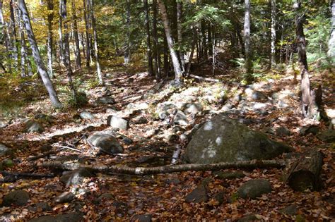 Crotched Mountain - NH Family Hikes