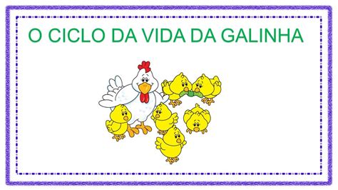 O Ciclo Da Vida Da Galinha Youtube