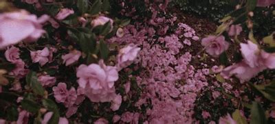 Post Pearls Paintings Pussy Tumblr Tumbex