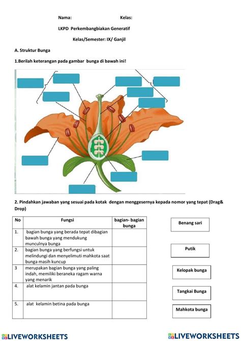 Perkembangbiakan Generatif Tumbuhan Online Worksheet For Ix Live