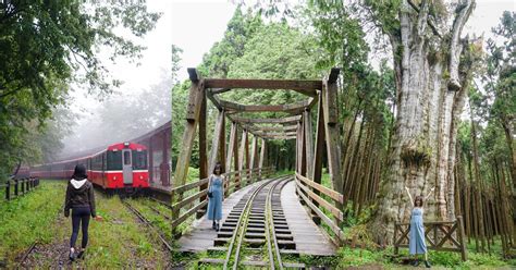 阿里山兩天一夜行程規劃｜交通地圖、住宿花費、阿里山日出與步道 欣晴。美食旅遊生活分享