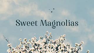 Sweet Magnolias - Wikipedia