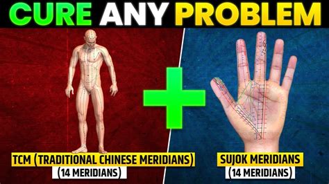 What Is Sujok Therapy Sujok Points And Meridians To Cure Any Problem Online Sujok Course In