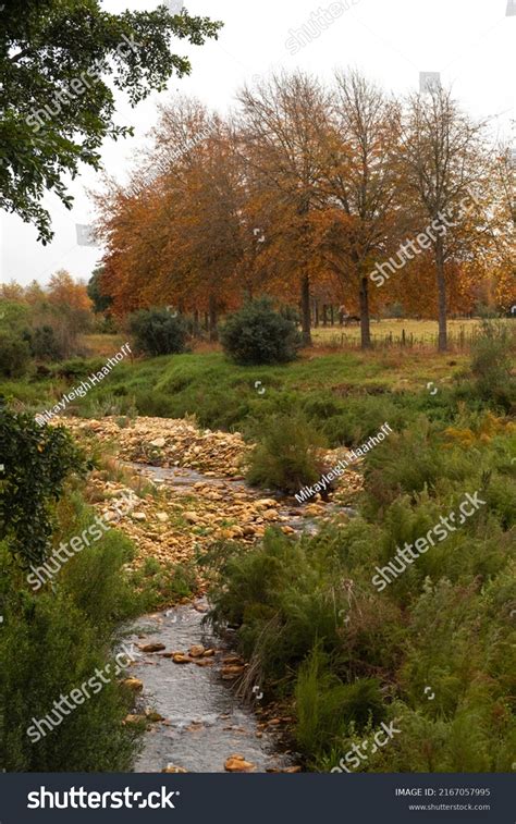 33 Riviersonderend river Images, Stock Photos & Vectors | Shutterstock