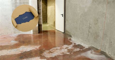 Basement Waterproofing Costs Your Guide On What To Expect