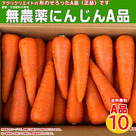 産直 むすび有機jas人参小 訳あり 送料無料 無化学肥料 5kg 無農薬 にんじん 有機栽培 青森県八戸市南郷産 人参