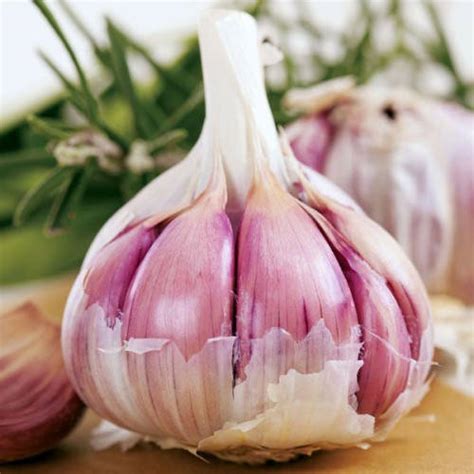 Озимый чеснок посадочный сорт Любаша 500г/уп (ID#1251893931), цена: 110 ...