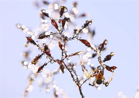 Gut Getarnt Forum F R Naturfotografen