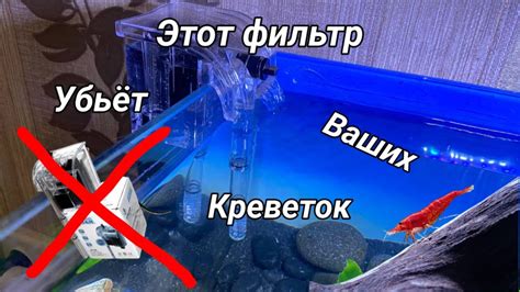 Фильтр для креветок, Самый ужасный фильтр, Фильтр убийца аквариума ...