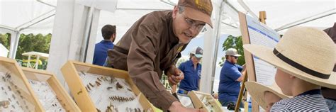 Crop Association Honors Uw Extension Entomologist For Diagnosing Insect