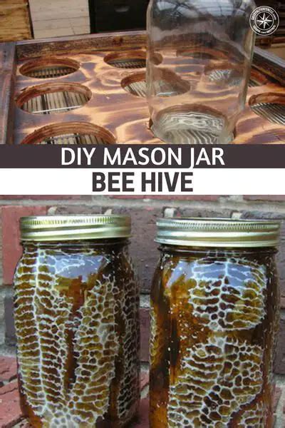 DIY Mason Jar Bee Hive