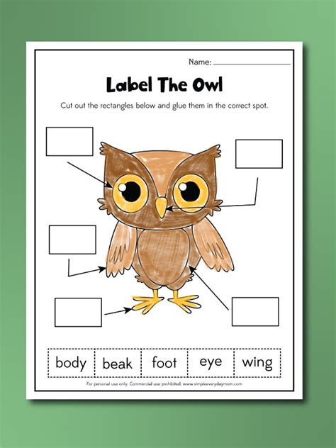 Owl Worksheets For Kids [Free Printables]