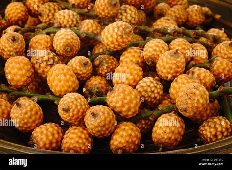 rattan fruit Stock Photo - Alamy