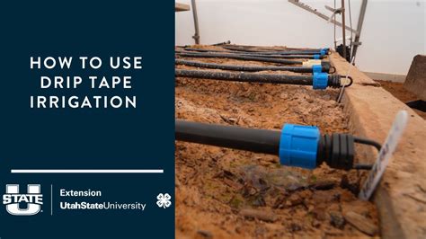 How To Use Drip Tape Irrigation Youtube