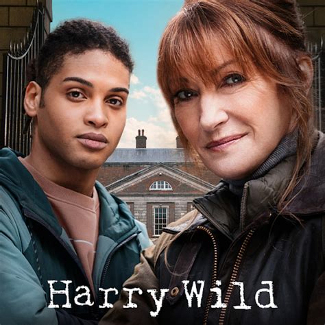 Harry Wild: Harry Wild: Series 1 - TV on Google Play