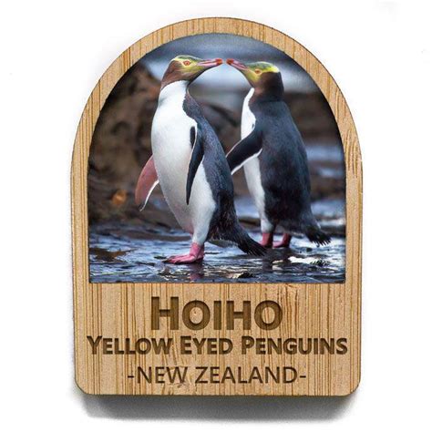 Hoiho Yellow Eyed Penguin Fridge Magnet – ShopNZ