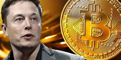 🔥it Has Been Identified How Many Bitcoins Elon Musks Com Defrank On