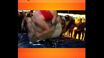Taureau mécanique XVIDEOS