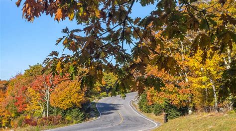 The Science Behind Grandfather Mountain’s Fall Leaf Season ...