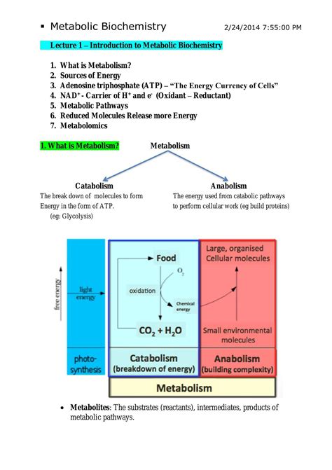 Metabolic Biochemistry Notes 91320 Metabolic Biochemistry Uts