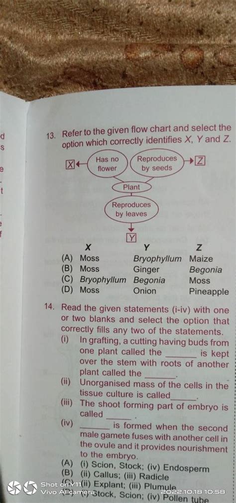 Refer To The Given Flow Chart And Select The Option Which Correctly Ident