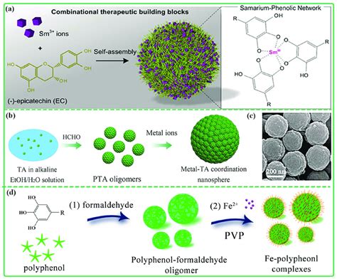 A The Synthesis Of Sm Iii Ec Nanoparticles Self Assembly Reprinted