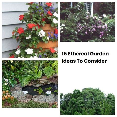 15 Ethereal Garden Ideas To Consider Sharonsable