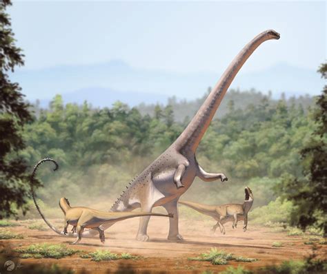 Barosaurus vs Allosaurus : r/Naturewasmetal