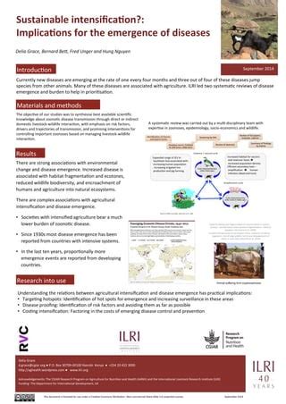 Sustainable Intensification Implications For The Emergence Of