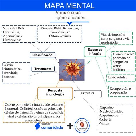 Mapa Mental De Virologia Image To U