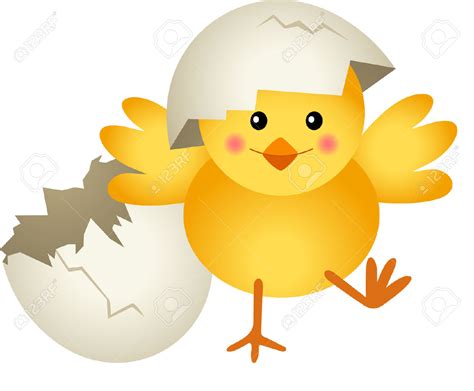 Chicken Egg Clipart Free Download On Clipartmag