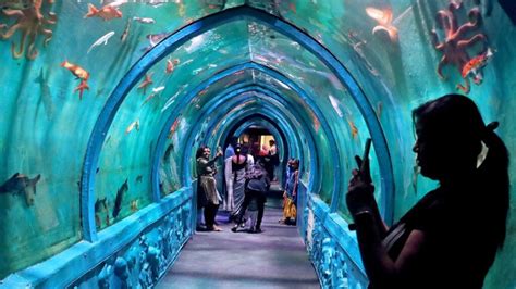 Bangalore Aquarium Entry Fee