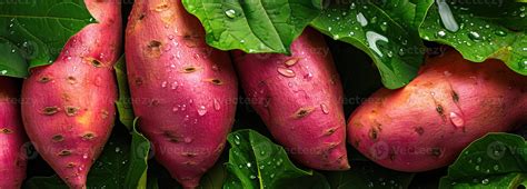 AI generated Farm Fresh Sweet Potato with Natural Leafy Greens, Overhead Composition - A Rich ...