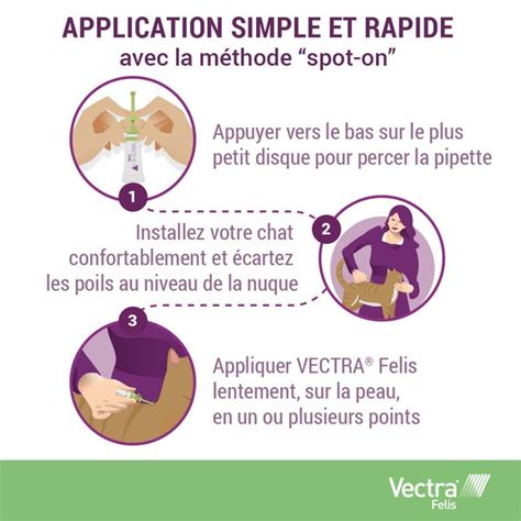 Vectra Felis Pipettes anti puces chat Tue et prévient la réinfestation