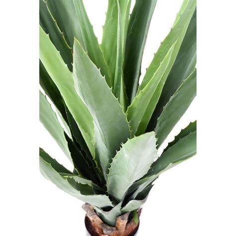 Agave Furcrae Artificiel Vert Cm Artiplantes