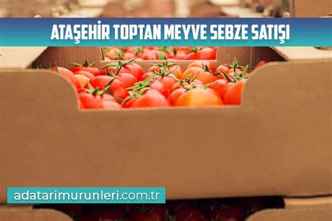 Ata Ehir Toptan Meyve Sebze Sat