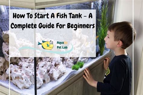 How To Start A Fish Tank - A Complete Guide For Beginners - Aquatic Pet Lab