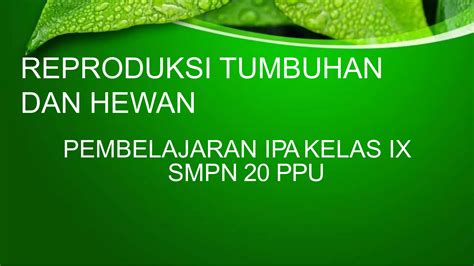 PPT KD 3 2 SISTEM PERKEMBANGBIAKAN TUMBUHAN HEWAN Auto Saved Pptx