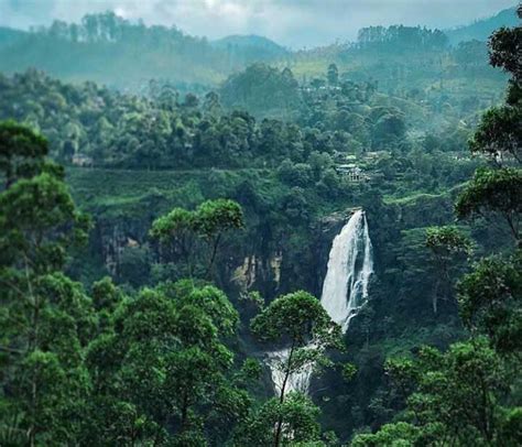 Devon Falls (97m) | A Beautiful Waterfall in Nuwara Eliya Region