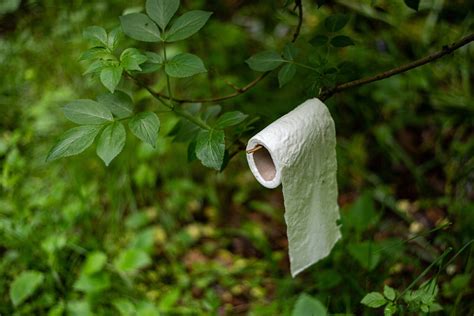 How To Poop In The Woods While Hiking Camping Or Exploring The Outdoors