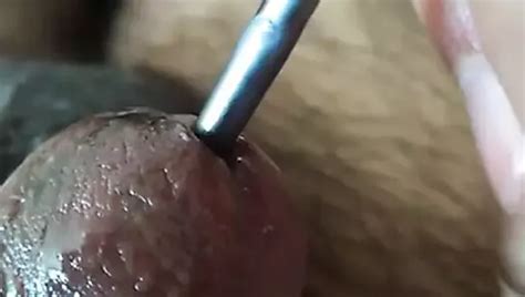Free Peehole Play Gay Porn Videos XHamster