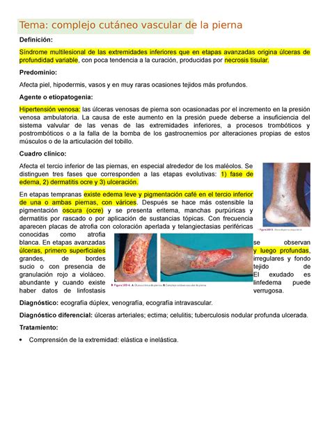 Complejo vascular de la pierna Tema complejo cutáneo vascular de la