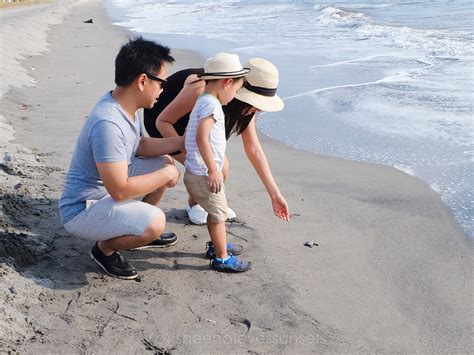 Releasing Baby Turtles: Pawikan Conservation Center (Bataan)