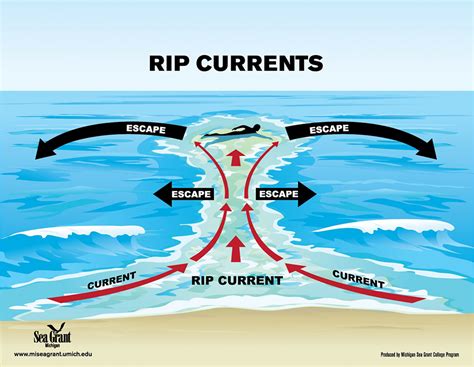 Rip Current