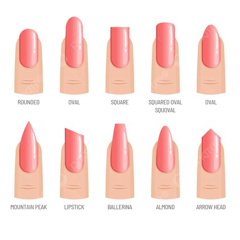 Manicure Nails Png Transparent Nails Pink Manicure Shape Nail Shape